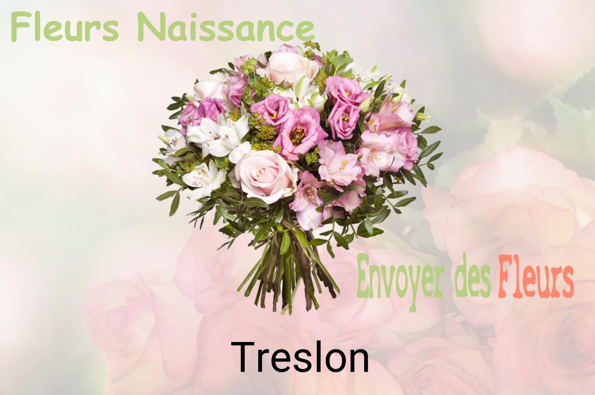 Bouquet de fleurs de naissance livré à Treslon