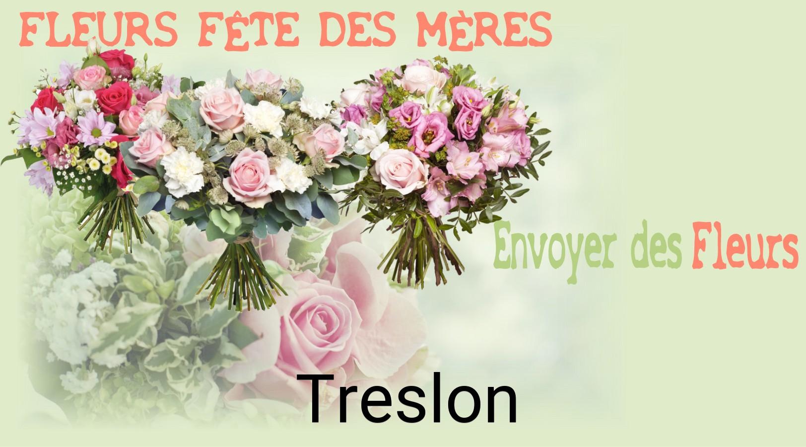 Bouquet de Fête des Mères livré à Treslon